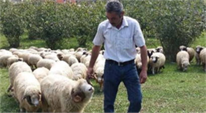 Kumru`da Hayvancılığa Destek