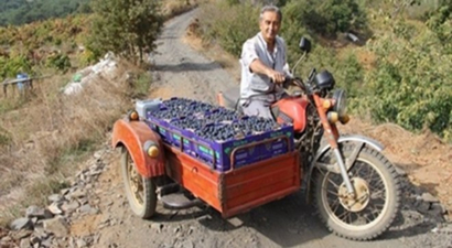 Bayındır`da Üretim Yolları Hasatı Kolaylaştırdı