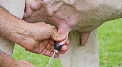 Karapınar`da Çiğ Süt Üretimi, Depolanması ve Taşınması Toplantısı