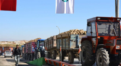 Kar Yağışı Erken Hasat Getirdi