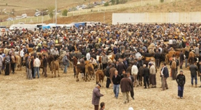 Kastamonu`da Kurban Bayramı, Bereketli Geçti