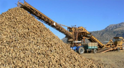 Malatya Şeker Fabrikasından Üreticiye Avans