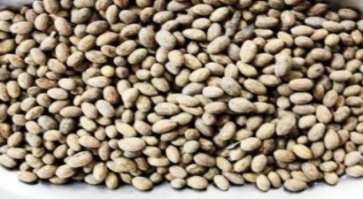 Burhaniye`de Zeytin Çekirdeği Kalorifer Yakıtı Oldu