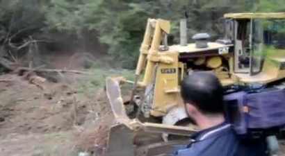 Çaldağı`nda 2 Milyon Ağaç Kesilebilir
