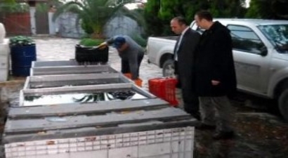 Darıca`da 12 Bin 700 Şişe Kaçak Şarap İmha Edildi