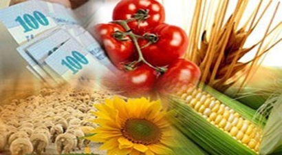 Çiftçilere Kırsal Kalkınma Yatırımlarının Desteklenmesi Anlatıldı