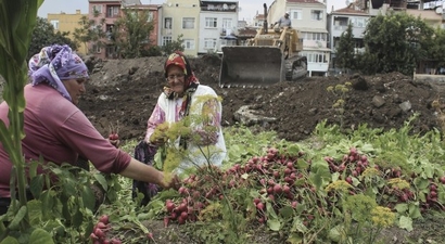 İmara açılan tarım arazileri 2014`te üç kat arttı