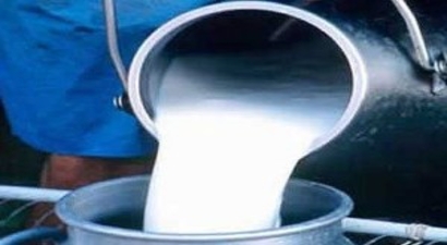 Üçüncü Dönem Süt Destekleme Başvuruları Başladı