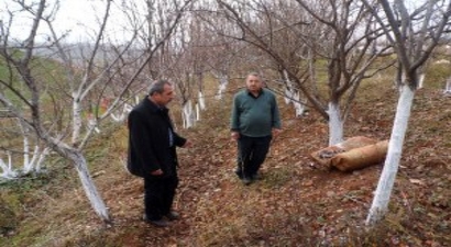 Batmanda Doğa Katliamı Yaşanacak!