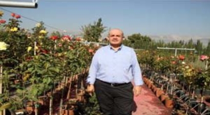 Ceviz Yetiştiriciliğinde Doğru Bilinen Yanlışlar