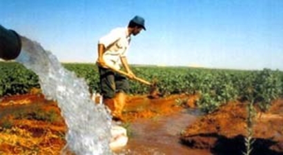 ÇKS Başvurusu 31 Aralık`ta Sona Eriyor