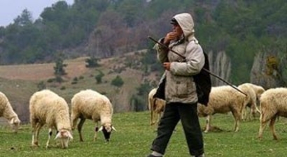 Tekirdağ`da Hayvancılık Yapanlara Su İndirimi