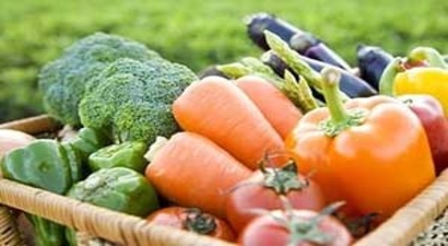Kartepe Ekoköy`de Organik Tarım Eğitimi De Veriliyor