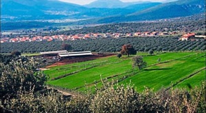 Palamutarası mera alanı olarak tescilli