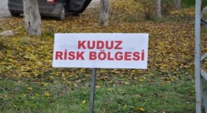 Pertek`te Kuduz Karantinası