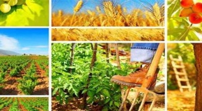 Tarımda ağır fatura
