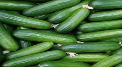 Kasım`da zam şampiyonu salatalık