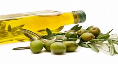 Burhaniye Zeytin ve Zeytinyağı Tarım Satış Kooperatifinden Alım Rekoru