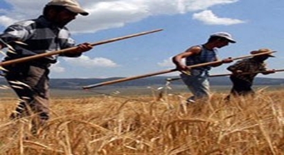 Çiftçilere Çks Uyarısı