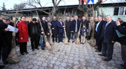 Büyükşehirden 3 Bin 258 Dekar Araziye Meyve Fidanı