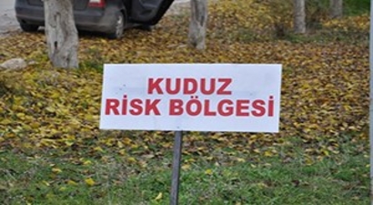 Çanakkale`de bir köy kuduz karantinasına alındı