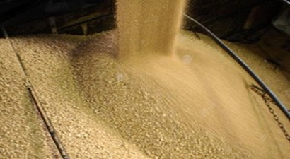 GDO`lu Soya Ununu İthal Etme Davası