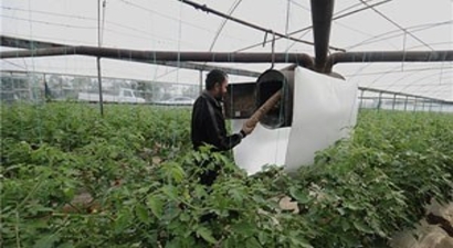 Antalya`da Seracılar Dondurucu Soğuklara Hazırlanıyor