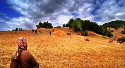 Tarım, Gıda ve Hayvancılık Sektörüne 1 Milyar Avro Hibe İmkanı