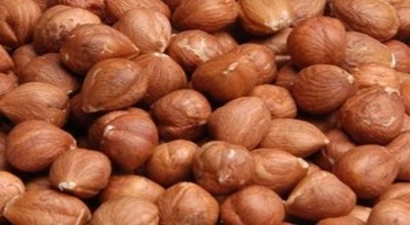 Düzce`den 30 Bin 718 Ton İç Fındık İhracatı Yapıldı