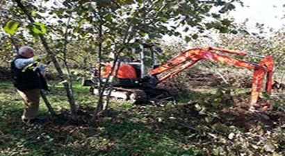 Fındık Dikim Alanlarının Yeniden Belirlenmesi
