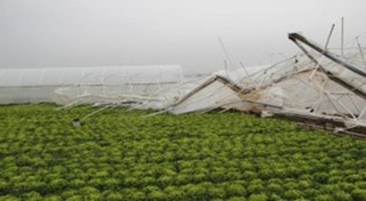 Tekirdağ`da Seraları Vuran Lodos, Üreticiyi Zarara Uğrattı