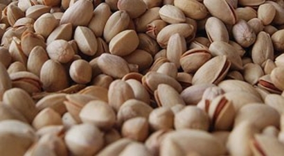`Bu yıl Antep fıstığına doyacağız`