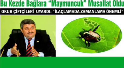 Şimdi de Maymuncuk