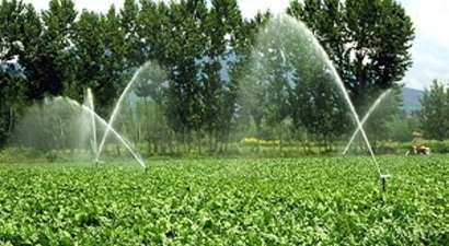 Elektrik borcu olan çiftçiye kötü haber!