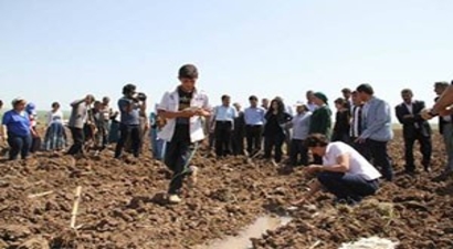 Diyarbakır Büyükşehir`den topraksızlara toprak