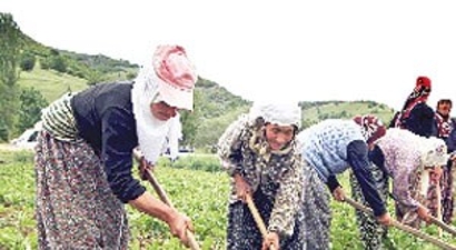 Tarıma yatırım yapana 3 milyon liralık destek