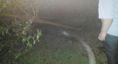 Akçakale`de çıkan fırtına tarım alanlarına zarar verdi