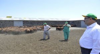 DAP`ta besicilik açılımı