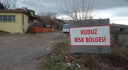 Kuduz Karantinası Sona Erdi