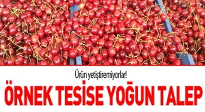 Örnek tesise yoğun talep!