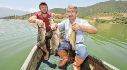 Tarladan Balık Çıkardılar!