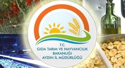 Aydın`da 10,8 Milyon Tl Yatırıma 5,3 Milyon Tl Hibe Desteği