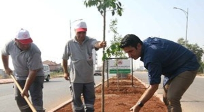 Döşemealtı Turunç ve Narenciye Kokacak