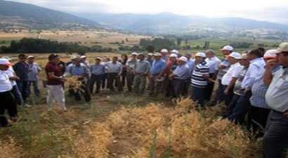 Erbaa`da Tarla Günü düzenlendi