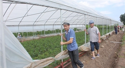 Üç Dakikada Sera Kuruluyor