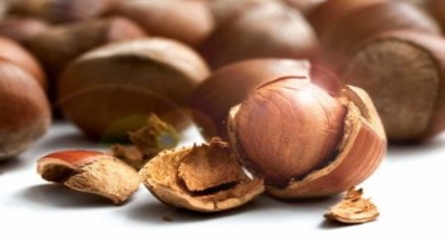 Fındık Yeni Sezonu 12 TL`den Açıyor