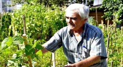 Hobi Bahçelerinde Hasat Dönemi