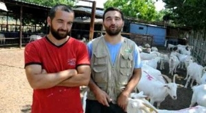 Üniversite Mezunu Kardeşler Hayvancılığı Seçti
