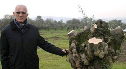 Jeotermaller Birinci Sınıf Tarım Arazilerini Yok Ediyor`