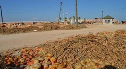 Malatya`da 33 bin hektar tarım arazisi yok oldu